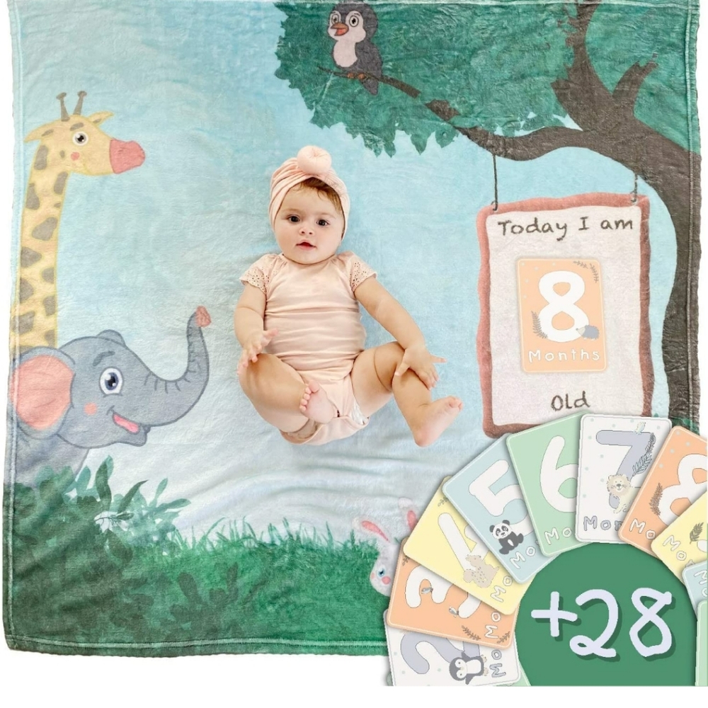 Baby Milestone Blanket